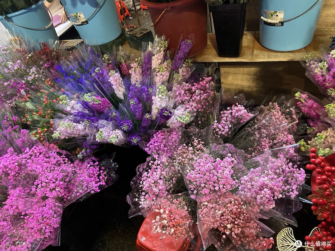 广州天河花市开市了，扑面而来的年味