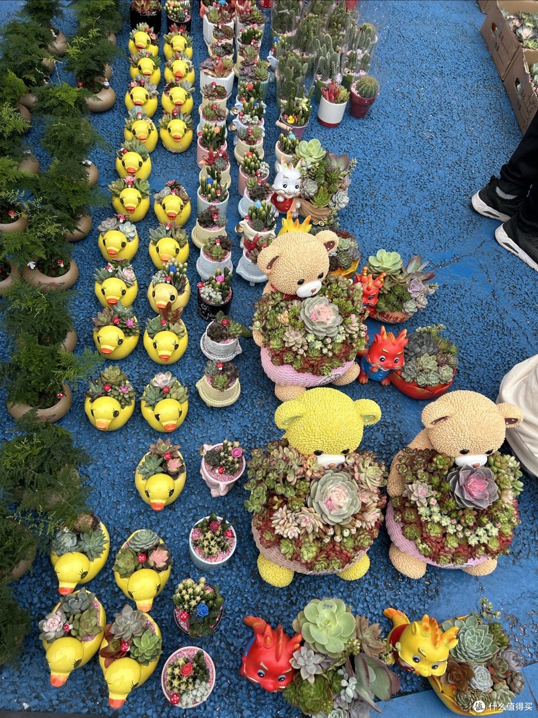 广州天河花市开市了，扑面而来的年味