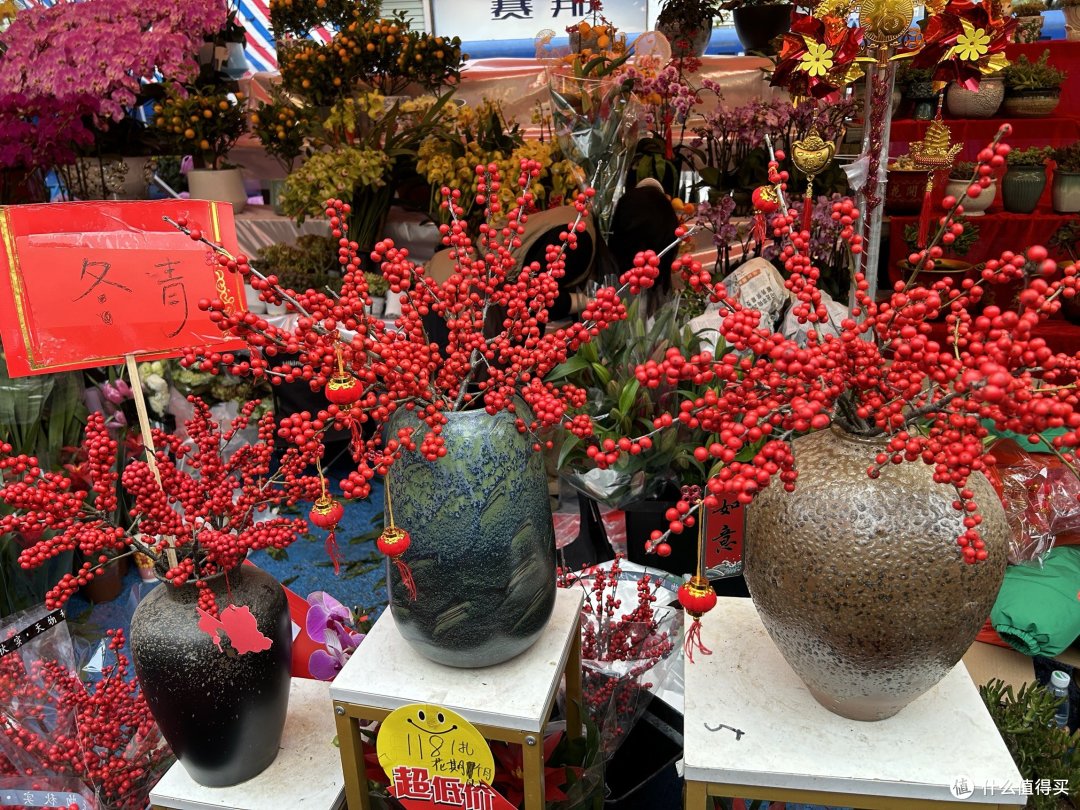 广州天河花市开市了，扑面而来的年味