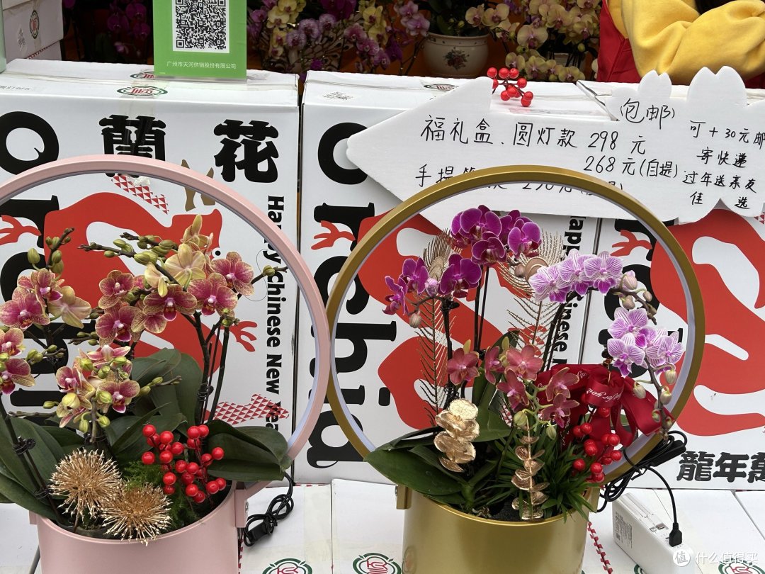 广州天河花市开市了，扑面而来的年味