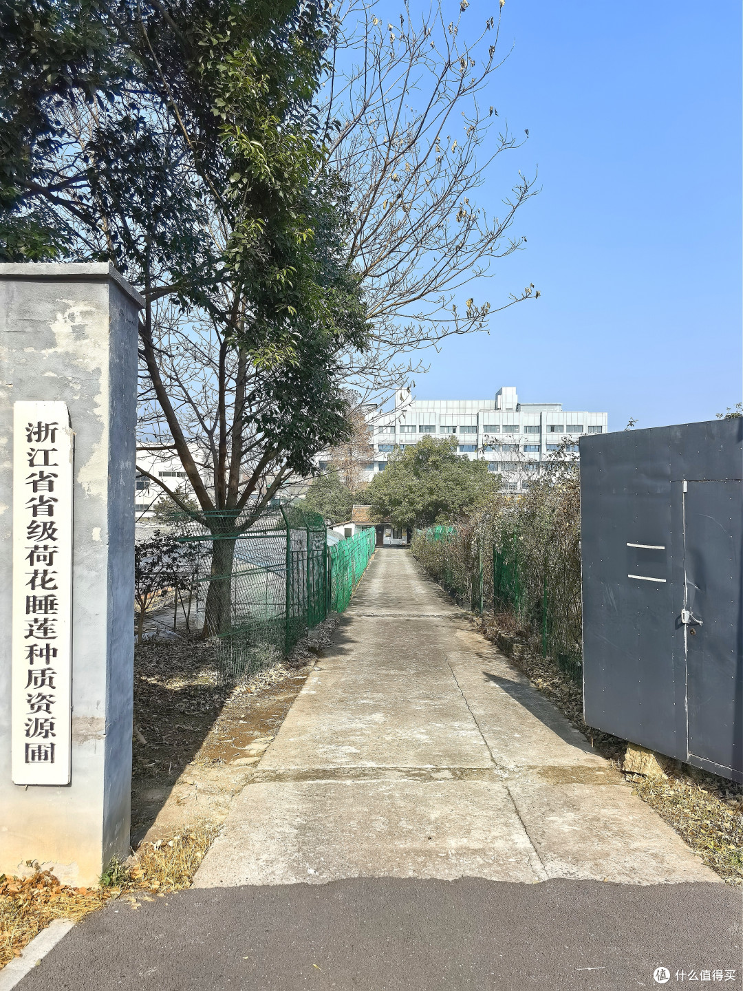 扑空的洗衣房体验：杭州西溪智选假日酒店