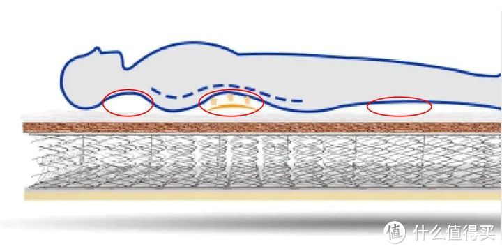 椰棕太硬了会导致颈椎和腰椎悬空在床垫上