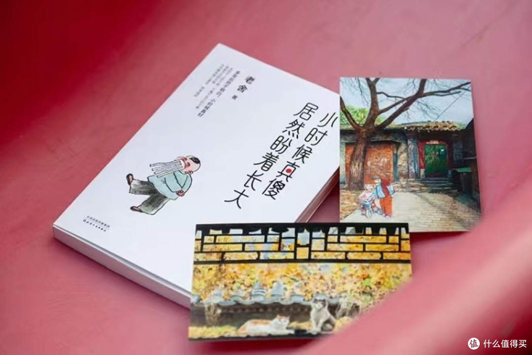 时光的羽翼,童年的梦想