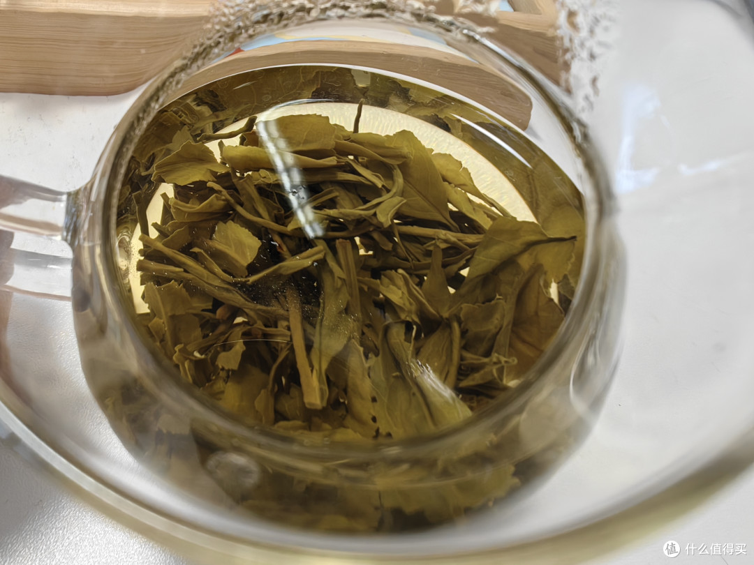 春蕾·寻味赣派花茶（1）·茉莉庐山毛峰