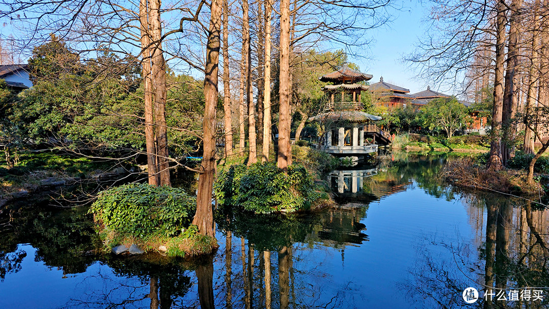 游西湖十景之曲院风荷和赏郭庄私家园林的静美