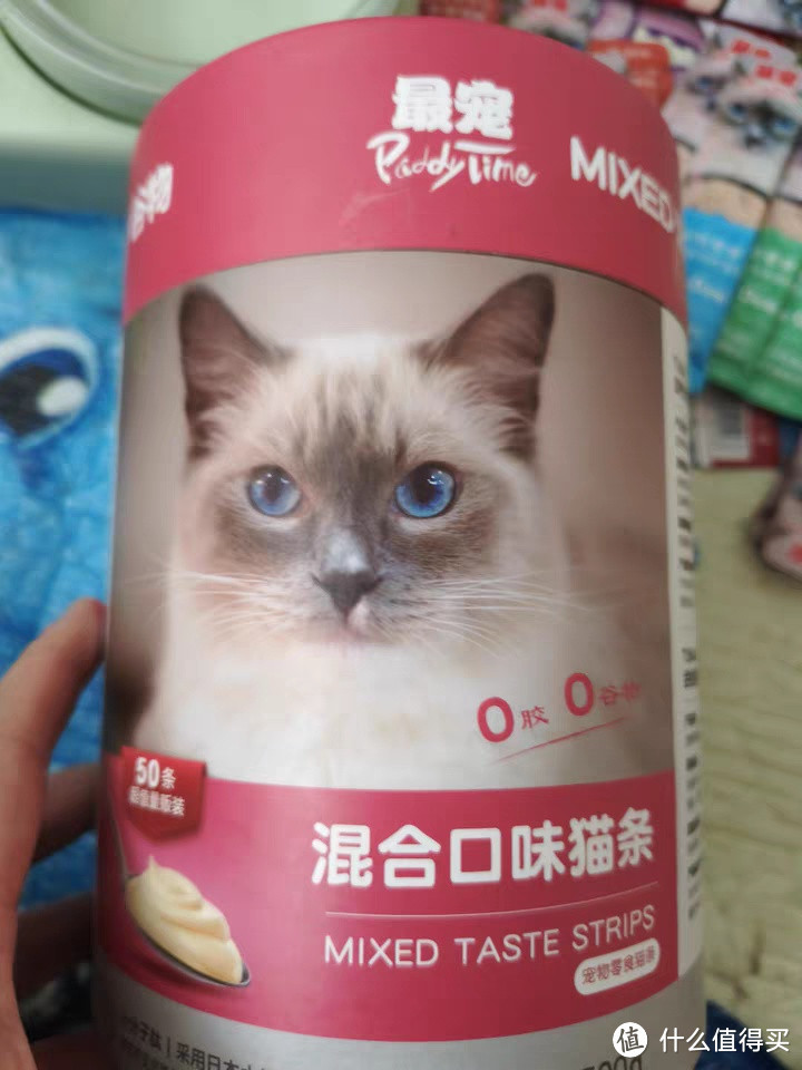  最宠猫条：给猫主子必备