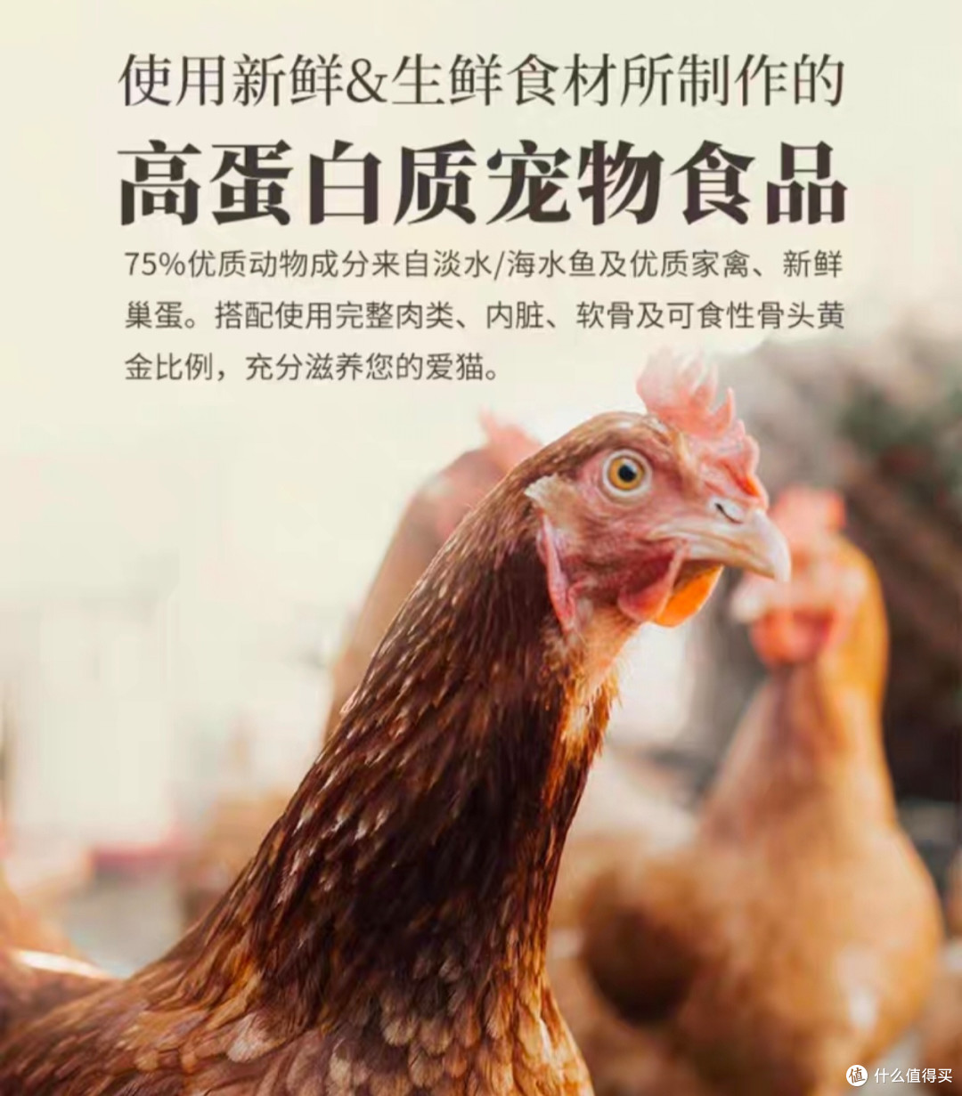 ACANA爱肯拿农场盛宴鸡肉无谷幼猫成猫进口全价全阶段猫粮5.4kg