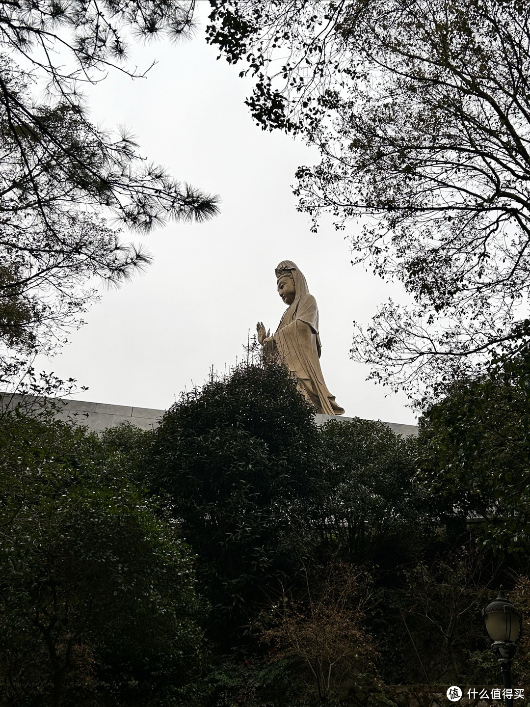 普陀山朝圣之旅：寻找观世音菩萨的足迹