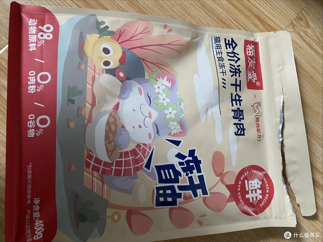 春节回家猫咪留守攻略