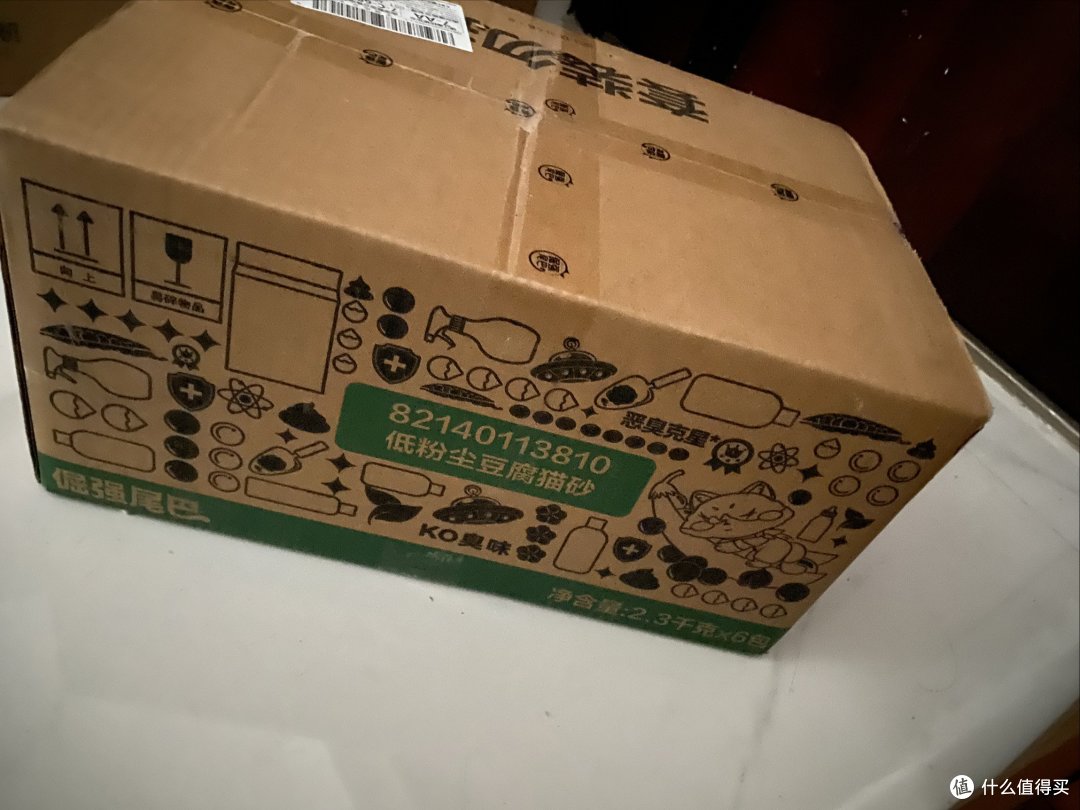 春节回家猫咪留守攻略