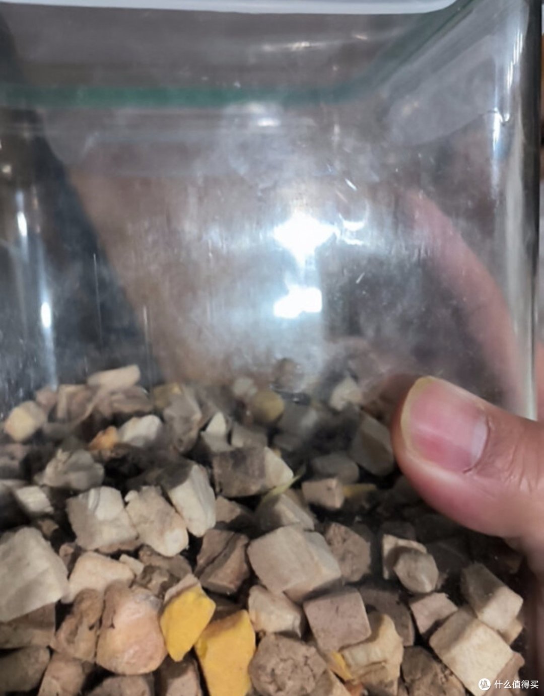 铲屎官必备!这些猫零食让猫咪欲罢不能!