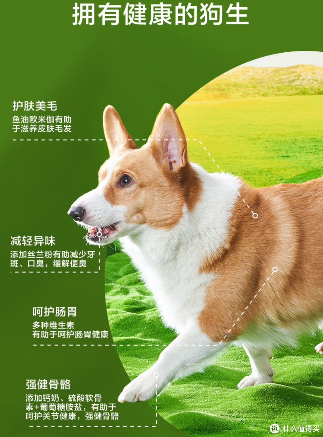 京东京造全价狗粮冻干三拼犬粮，给你的爱犬最好的呵护