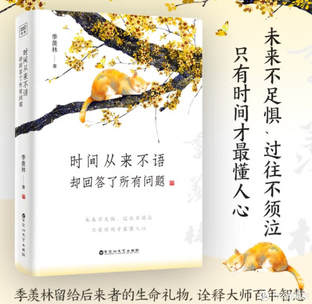 《时间从来不语，却回答了所有问题》—— 一部深深触动人心的作品