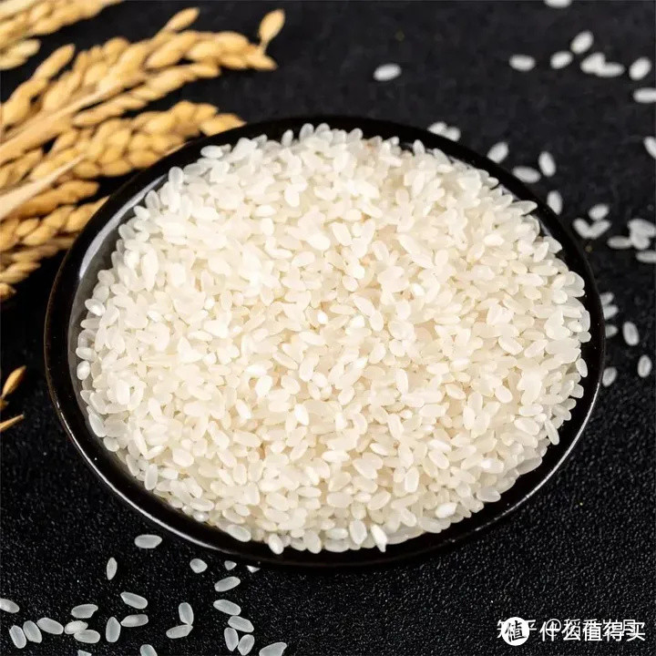 北方大米vs南方大米哪个更好吃？资深水稻种植人来告诉你答案