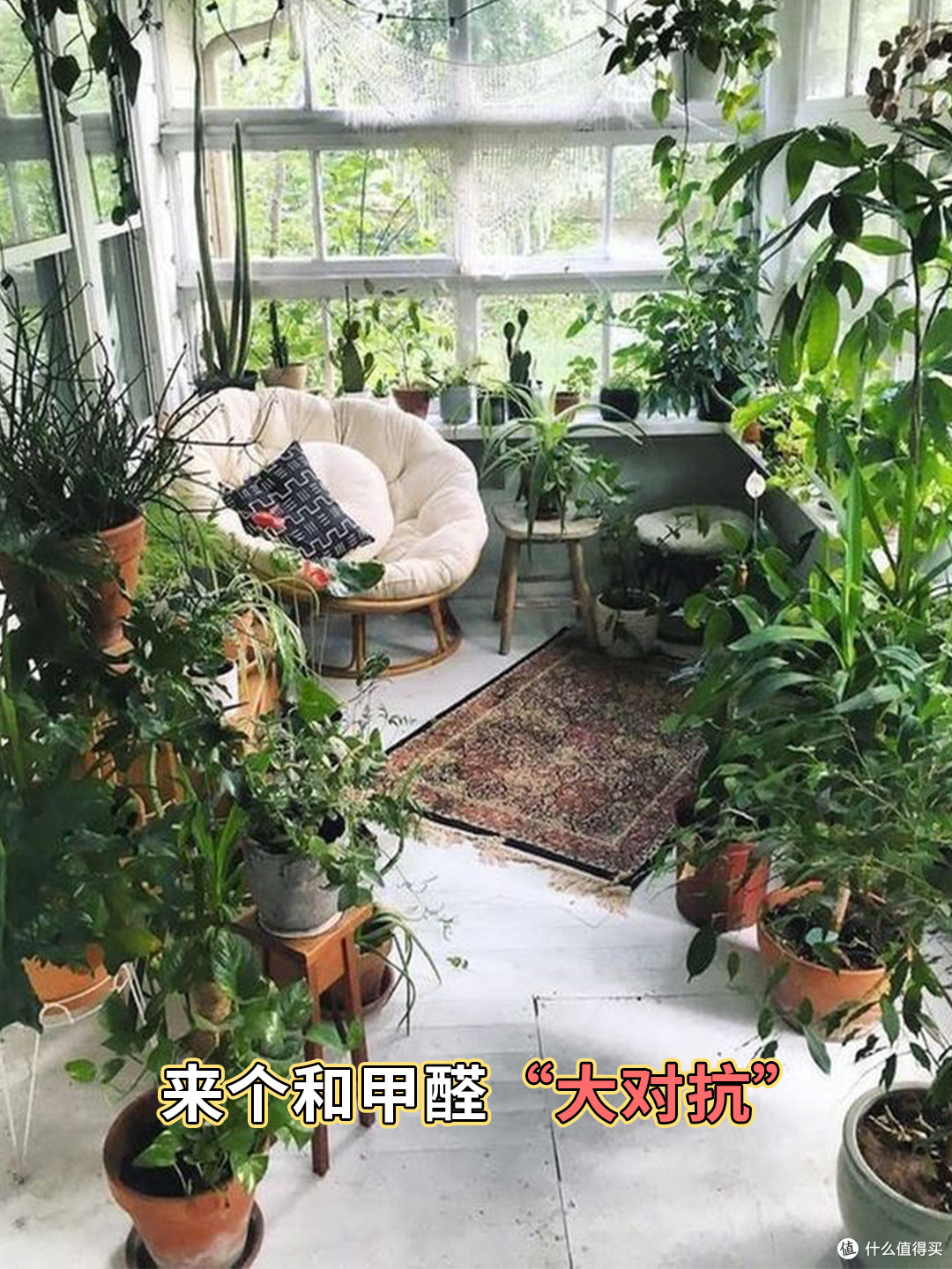 和老公配合,来个和甲醛“大对抗”