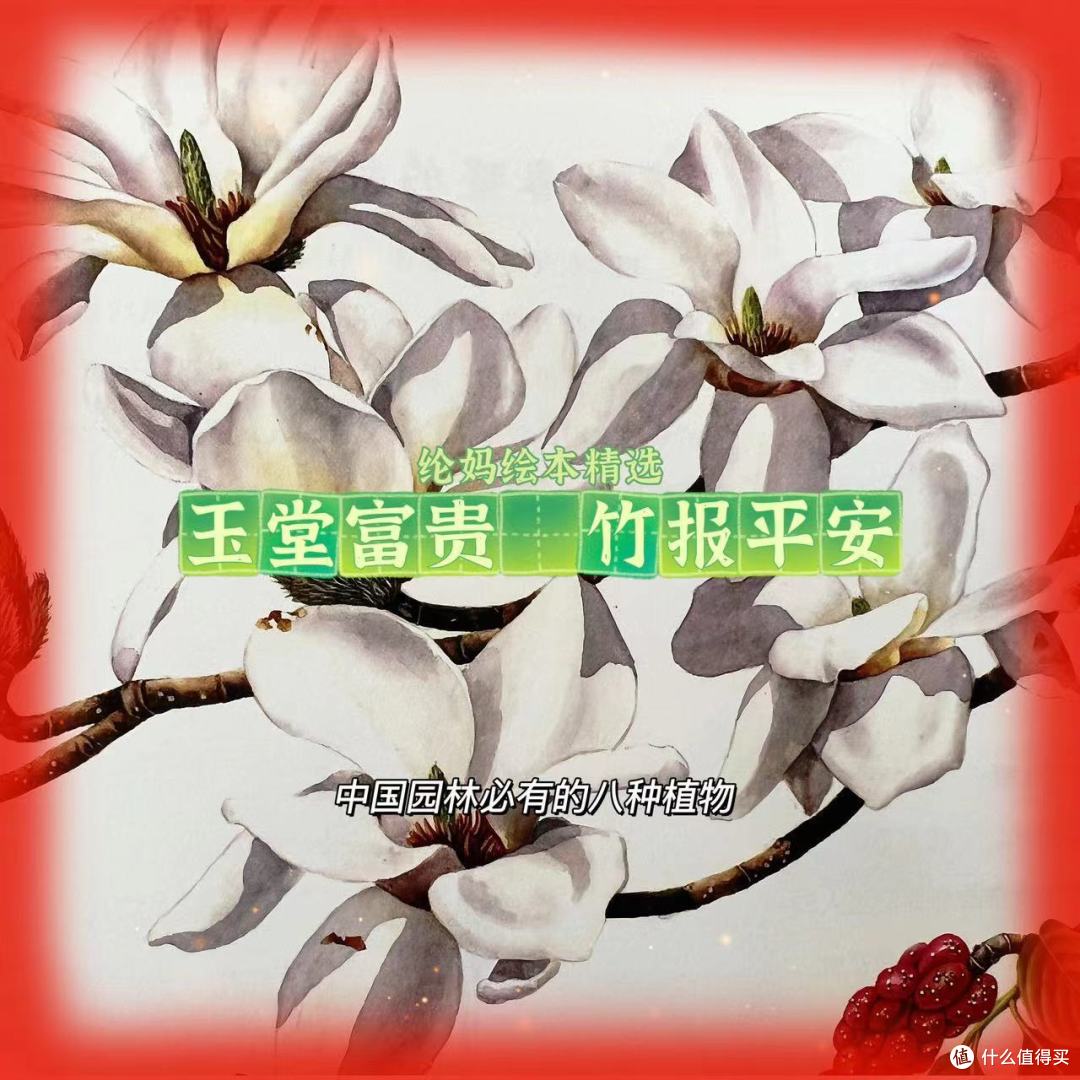 |《奇妙的本草世界》春节沉醉在万花丛|