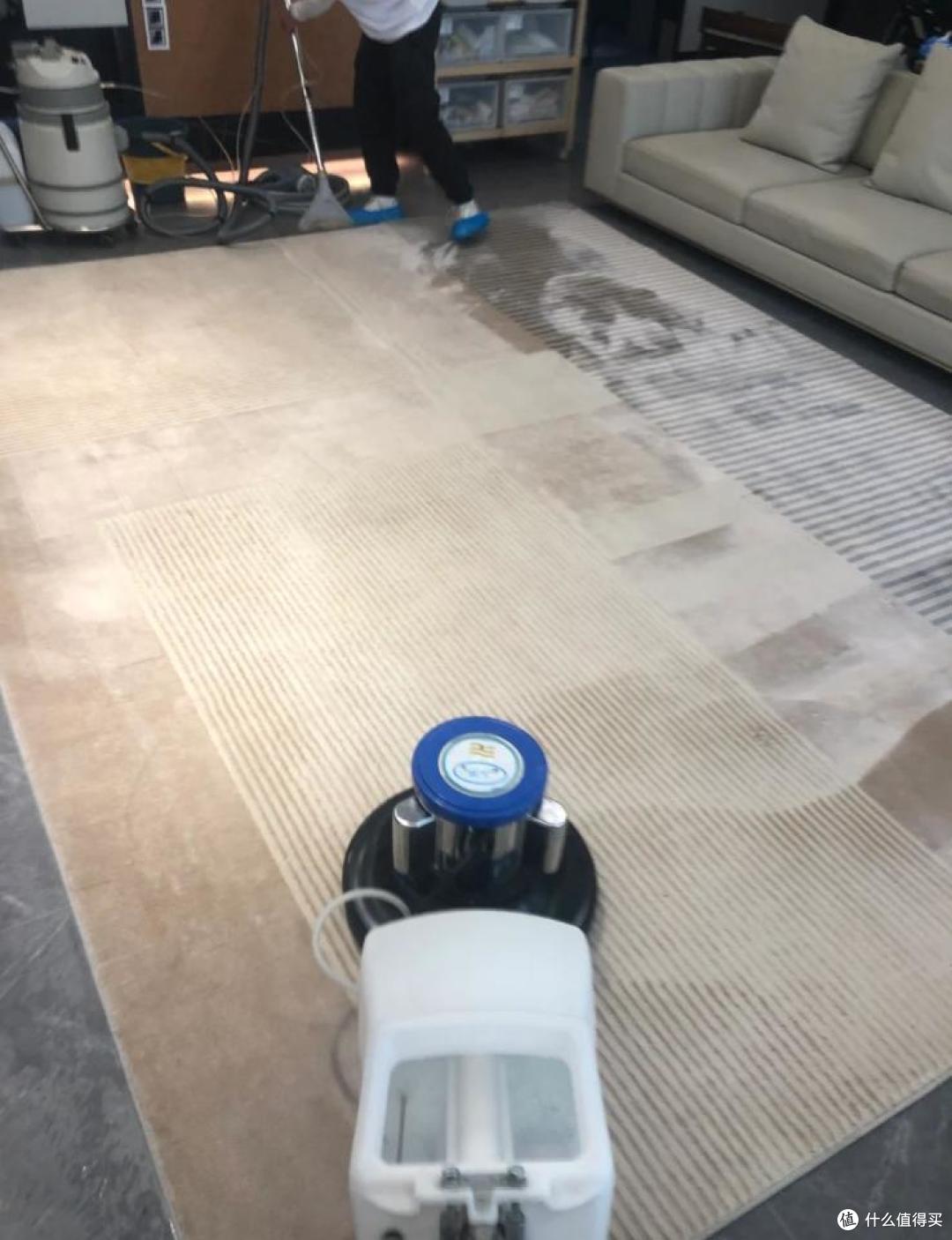 建议:客厅,尽量别放这4样东西!并非误导,都有所依据
