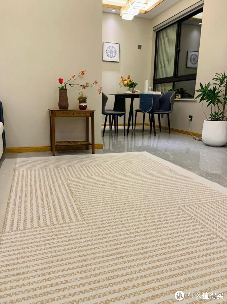 建议:客厅,尽量别放这4样东西!并非误导,都有所依据