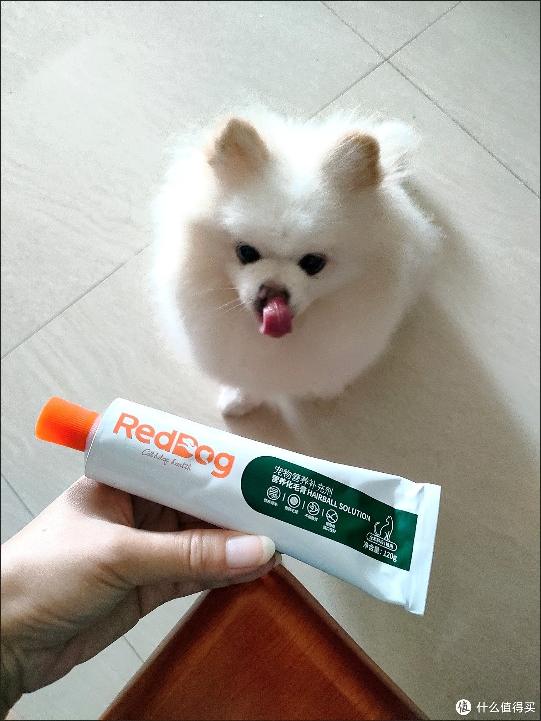 RedDog：活力红狗，宠物都需要