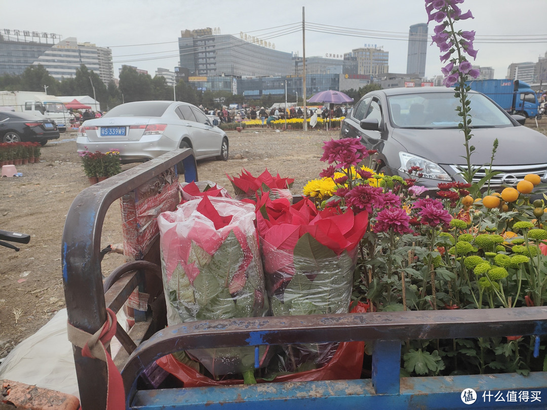 广东年味浓！年三十逛花市，你准备好了吗？。。。最好带上露营车