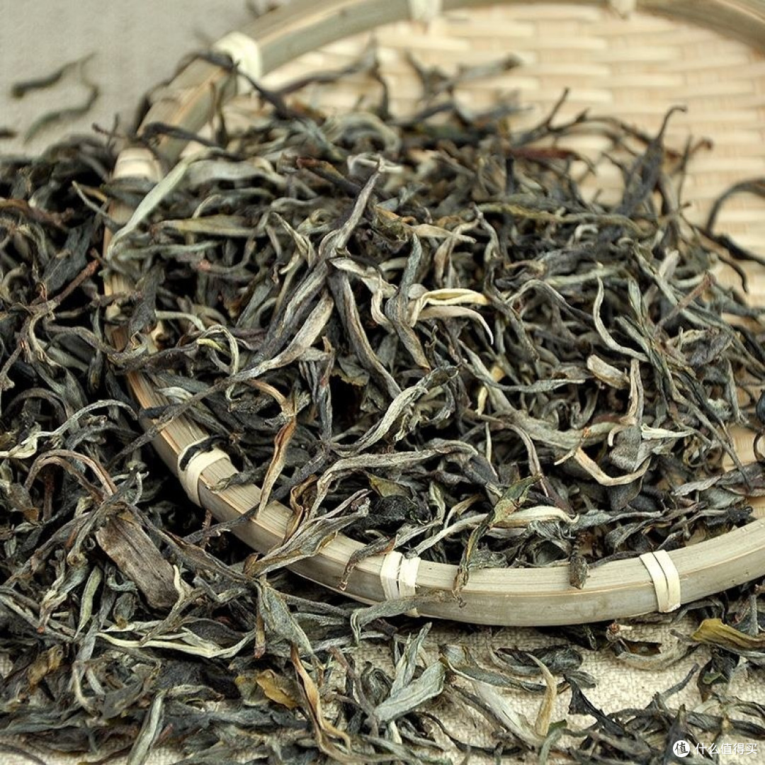 普洱生茶和熟茶