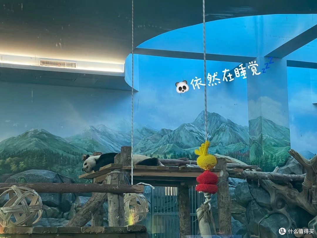 大年初二，过年去动物园看小动物啦