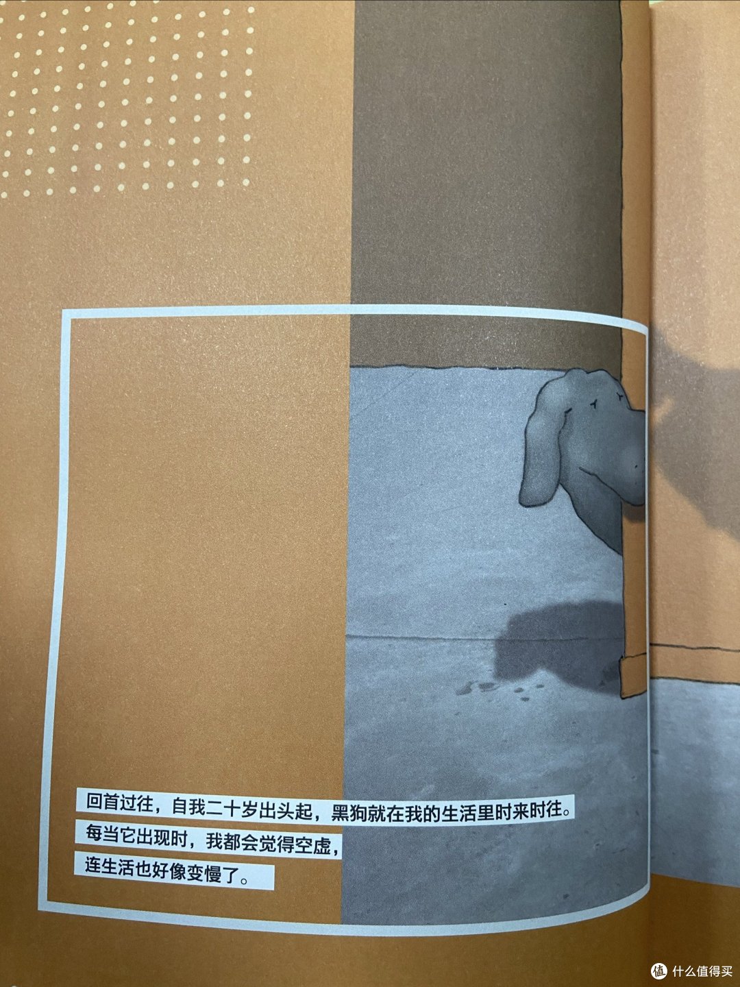 如何与抑郁症患者相处?|荐书|《我有一条叫抑郁症的黑狗》