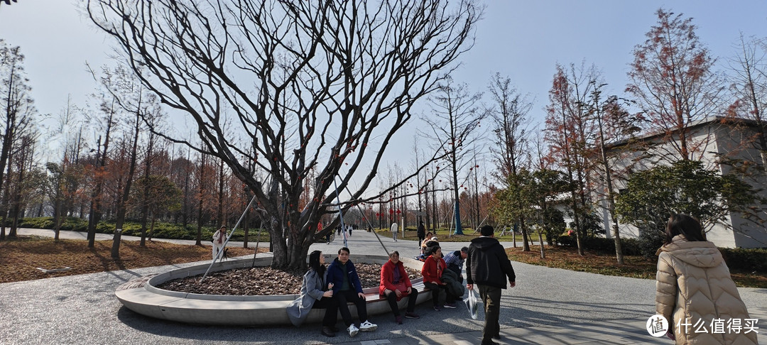 世博文化馆遗址上新建的，上海世博文化公园，又一座免费的超级大公园，卢浦大桥桥边上的公园
