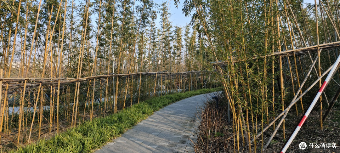 世博文化馆遗址上新建的,上海世博文化公园,又一座免费的超级大公园,卢浦大桥桥边上的公园