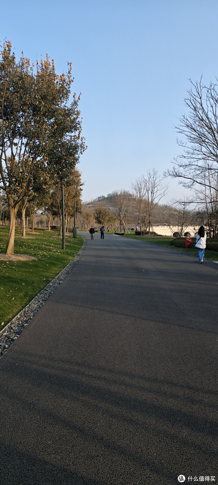 世博文化馆遗址上新建的，上海世博文化公园，又一座免费的超级大公园，卢浦大桥桥边上的公园