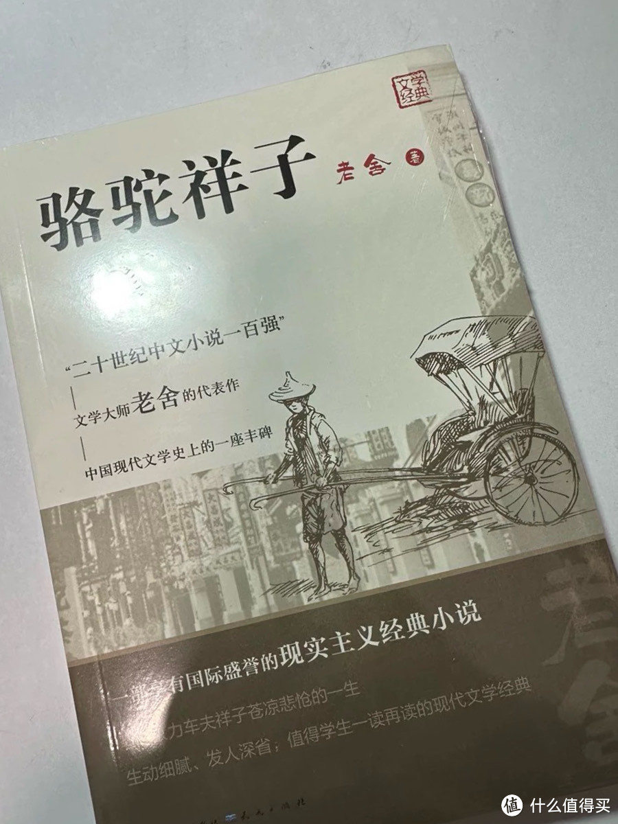 《骆驼祥子》：理想与现实之间