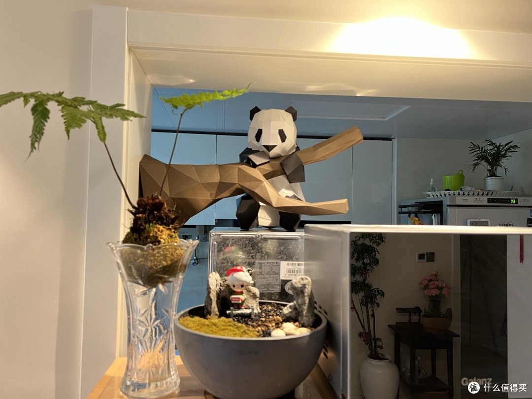 新年新气象,调整布局改变运势