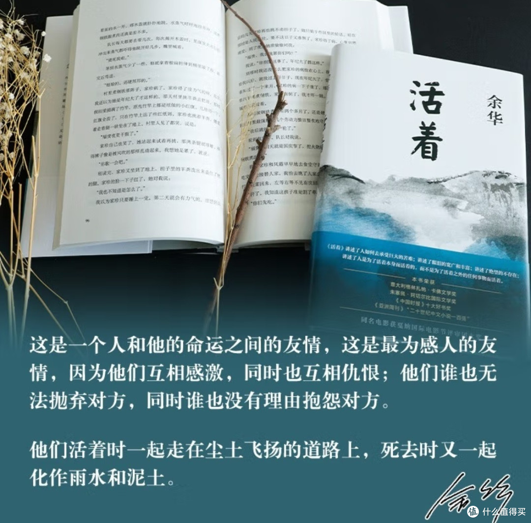 《活着》:一部震撼人心的生命史诗!