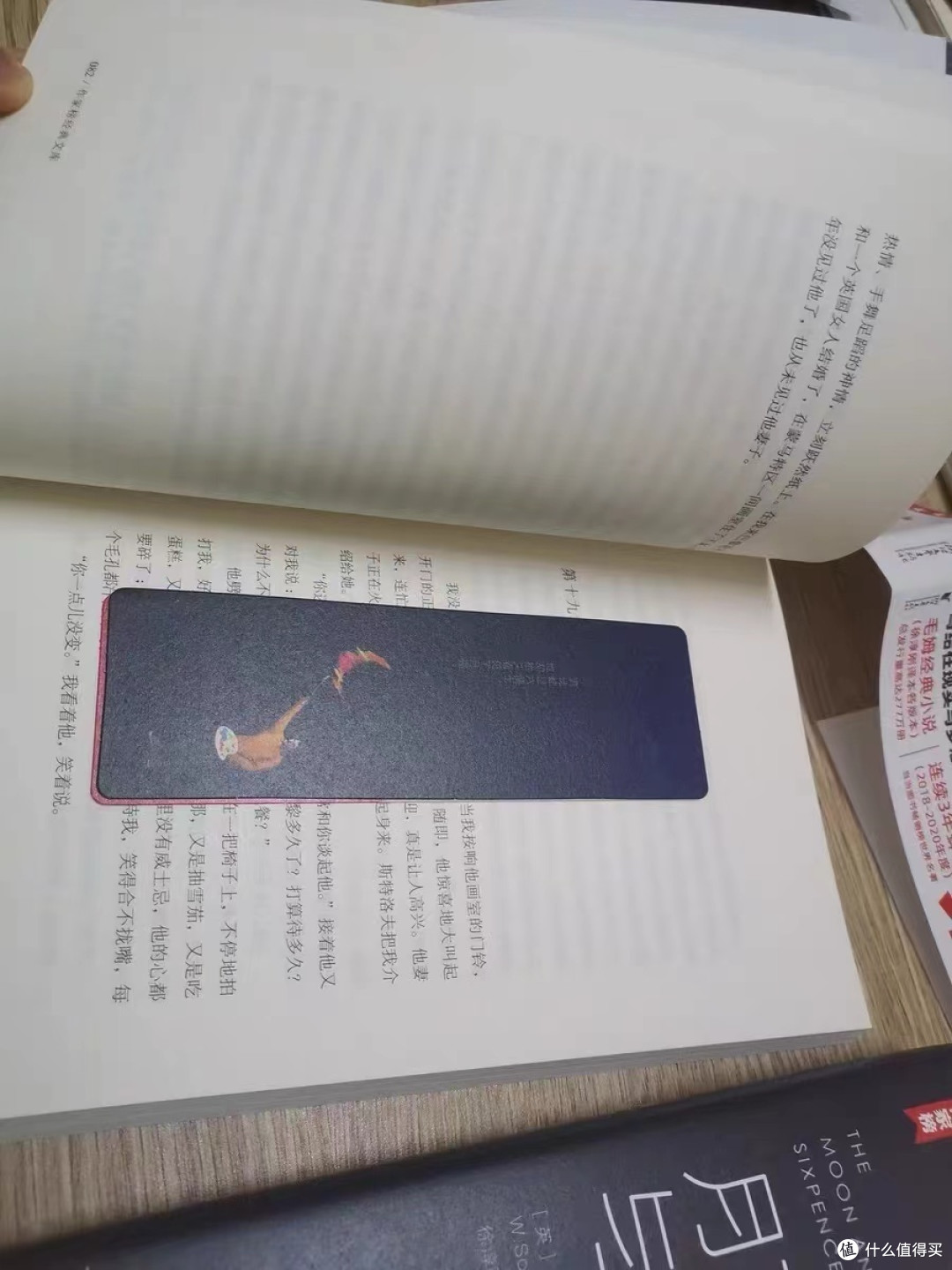我喜欢的月亮与六便士