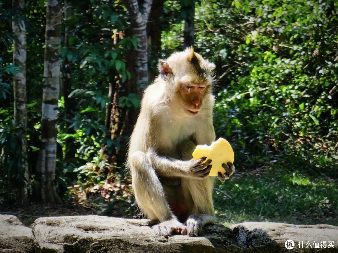 有直飞还免签！亲子巨友好！这个地方怕不是要把我美哭吧！