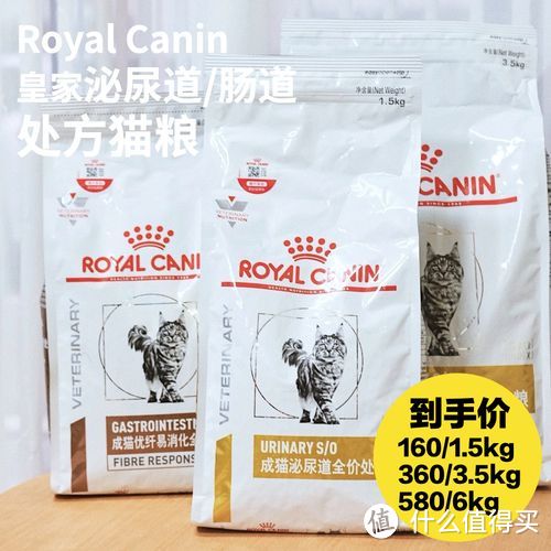 适合怀孕橘猫的猫粮有哪些品牌值得推荐？