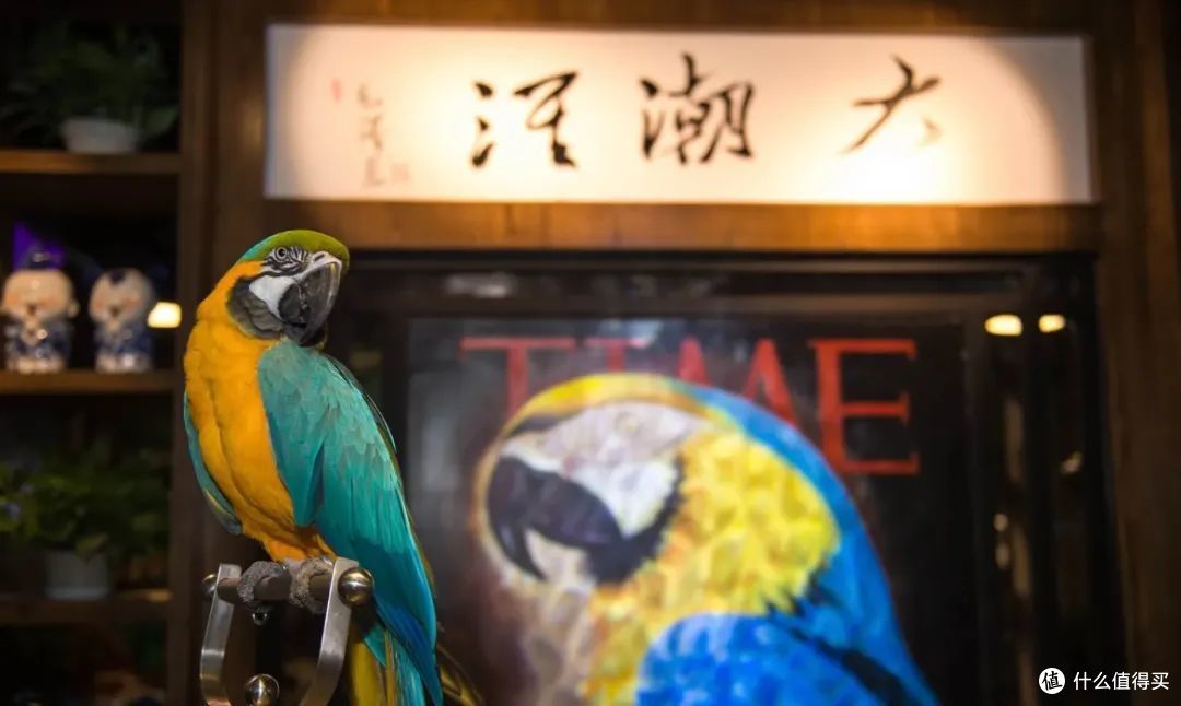 明明是来这座小城出差的，怎么还能胖三斤啊