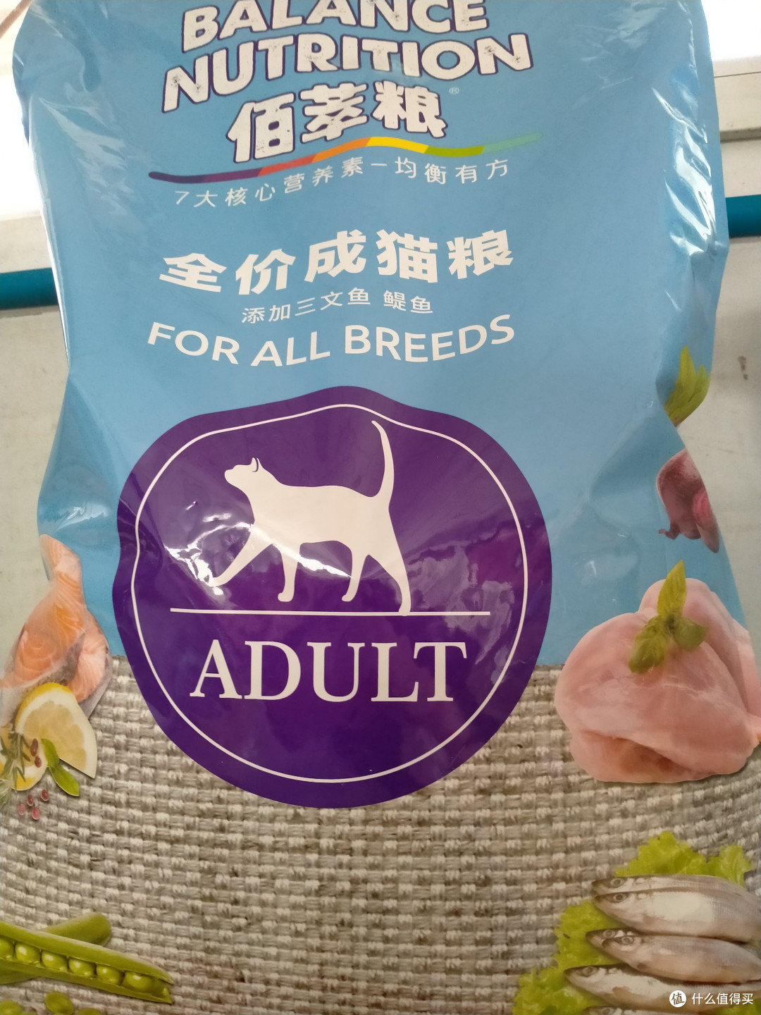 猫咪超爱吃