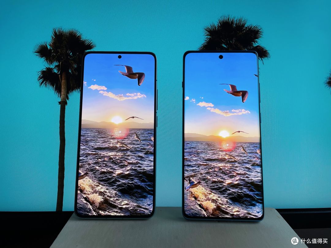 一加ace3红米k70谁才是更值得种龙草的性能标杆看完这篇就晓得啦