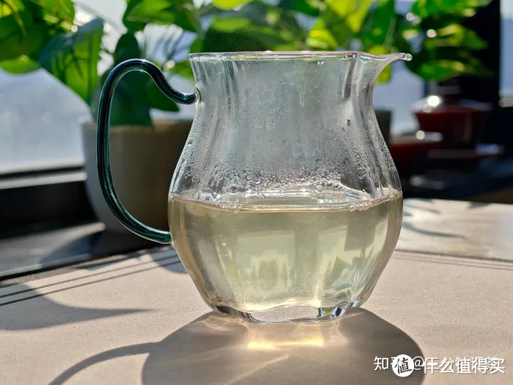 张一元的茉莉花茶怎么样？张一元玉芽品鉴| 一日一茶 [2024/1/27]