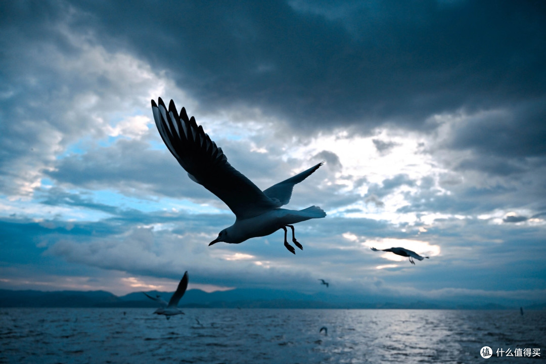 尼康微单的最佳拍档 尼克尔24-70mm f4s_镜头_什么值得买