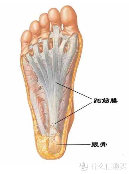 困扰很多跑者的足底筋膜炎，我是怎么对付它的