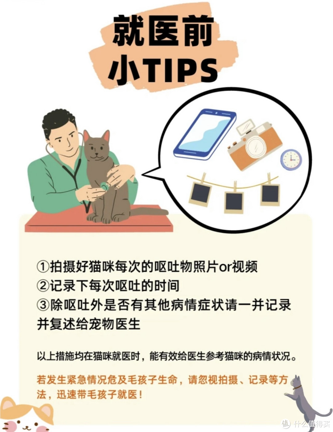 猫咪呕吐怎么办?呕吐物严重程度参考