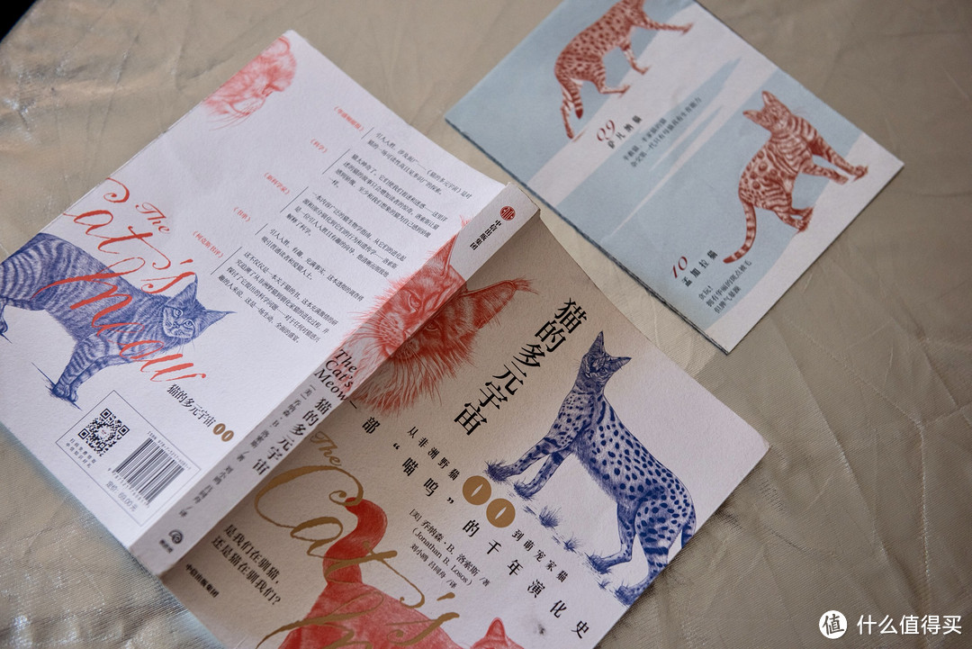 是人驯化了猫,还是猫驯化了人?《猫的多元宇宙》 这本书给出了答案…_图书杂志_什么值得买