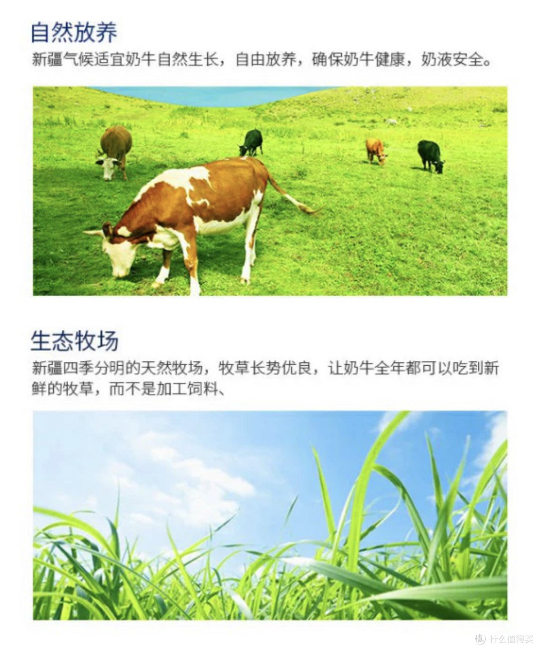 挑选优质牛奶的全方位指南：从种类、脂肪含量到加工方式全面解析