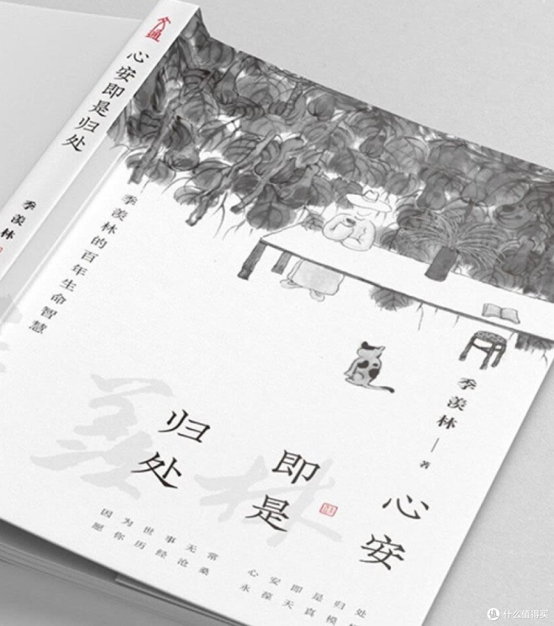 一定要看的好书——心安即是归处