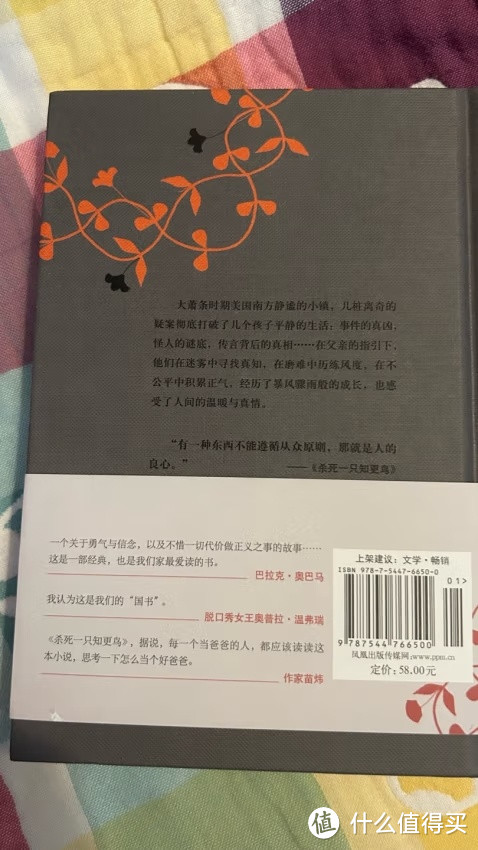 《杀死一只知更鸟》：勇敢的力量如何战胜偏见？