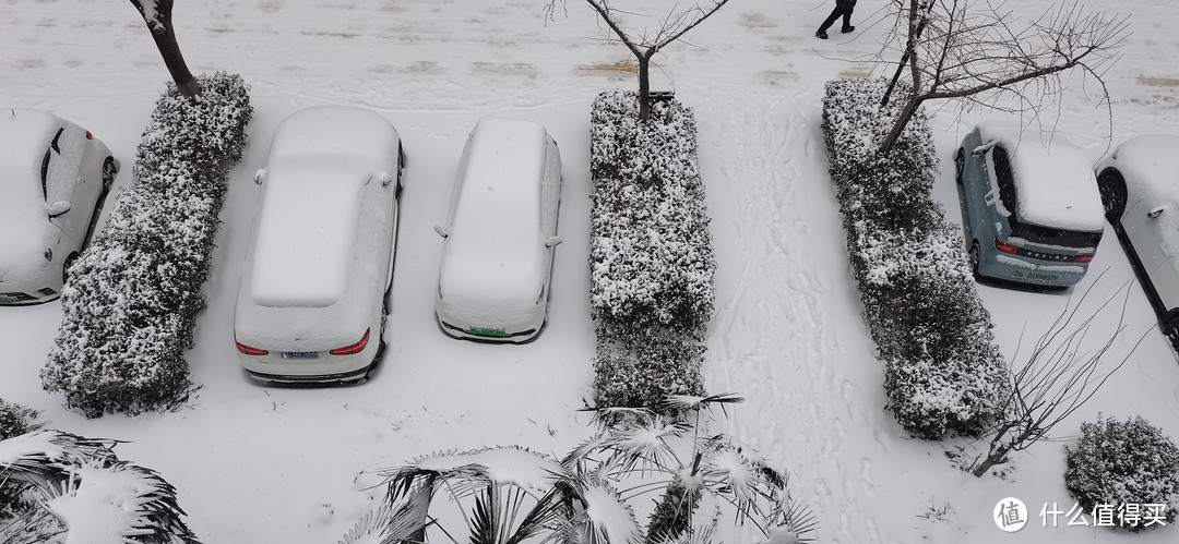 今日份河南暴雪，打工人上班路上注意安全