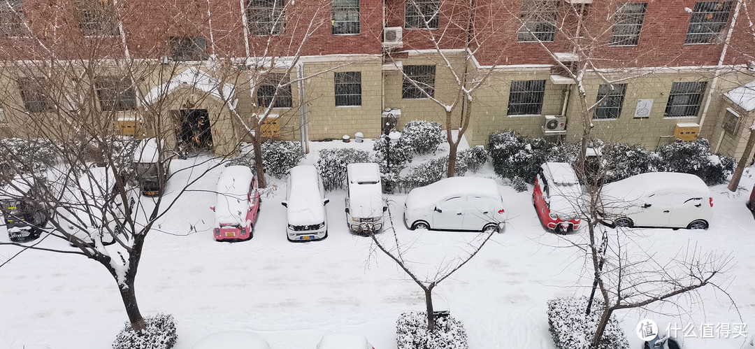 今日份河南暴雪，打工人上班路上注意安全