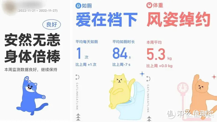 价值5000元的猫砂盆购买指南：买对不买贵，拒交智商税